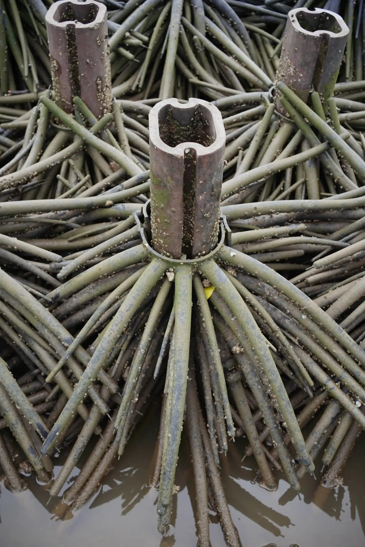 Eco-friendly Material